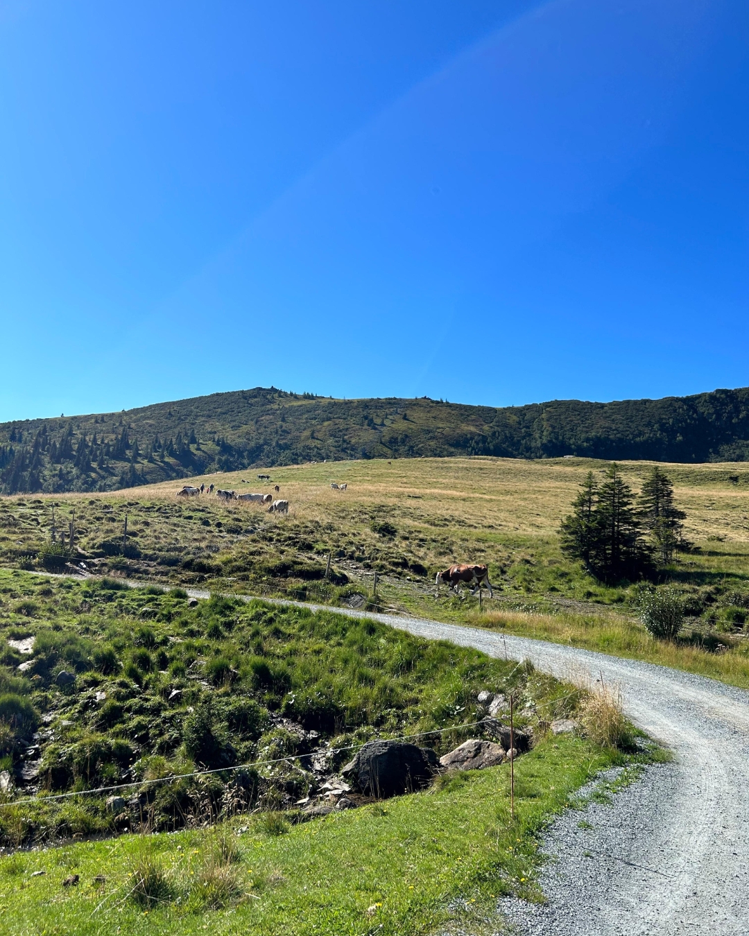 Ausflugsziele Steiermark